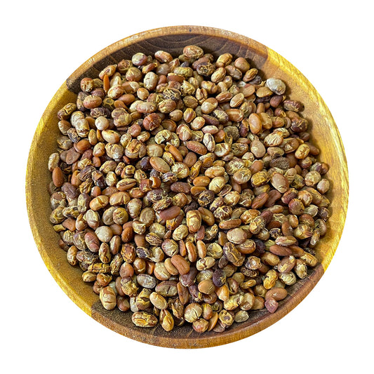 Dried Axone - 200 Grams